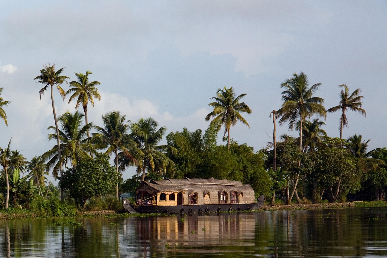 Alleppey vs Kumarakom: Which Backwater is Better?