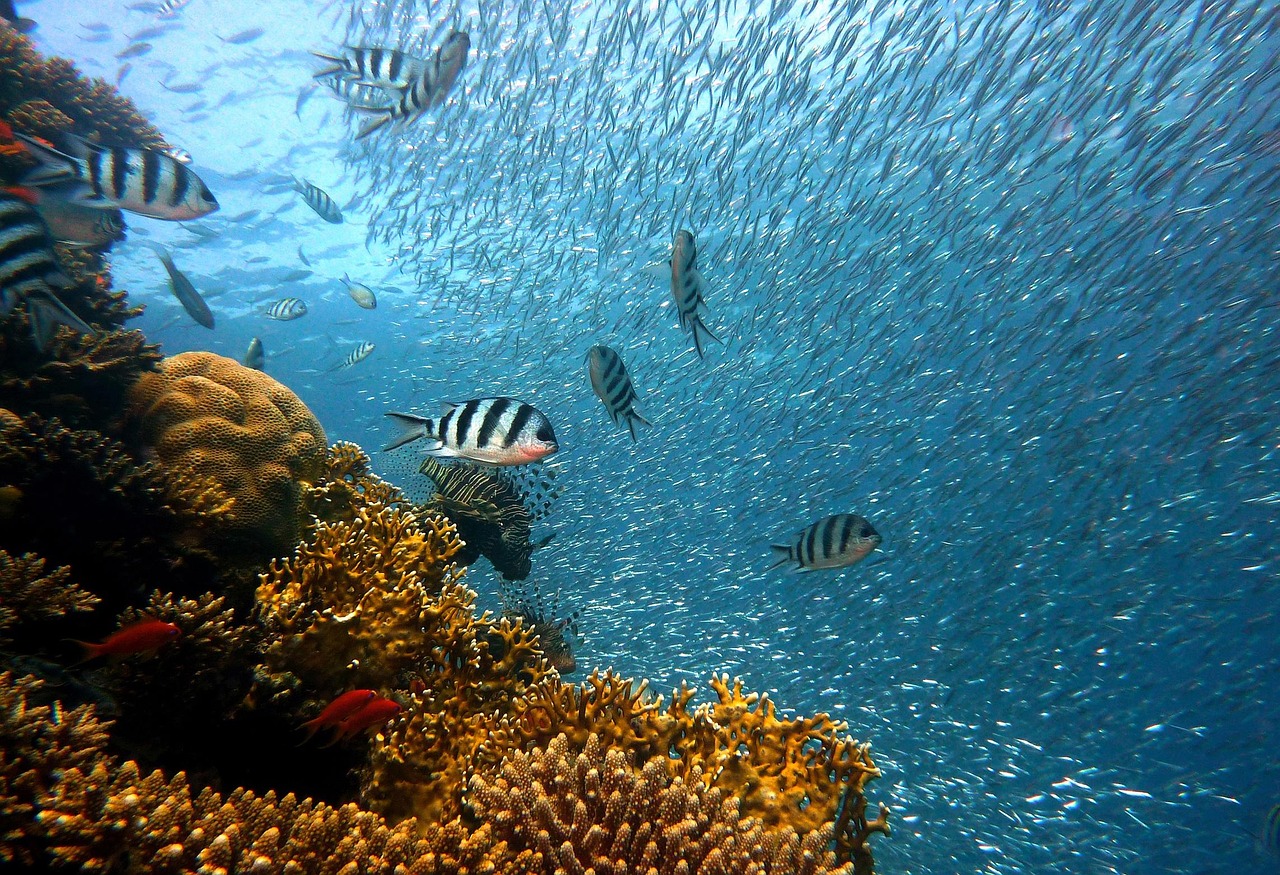 Andaman for First-Timers: A Complete 2026 Guide